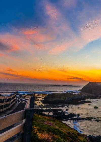 Untitled-design-39-qrbo396g4n1fuojwuxv6gqu2ua8o5yewjzdmaty0kw